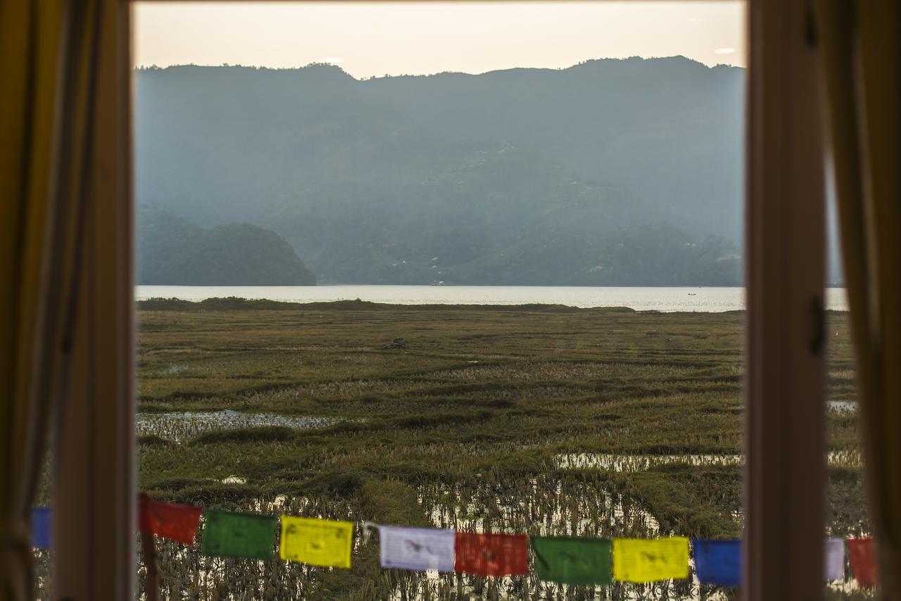 Zostel Pokhara Hostel Bagian luar foto